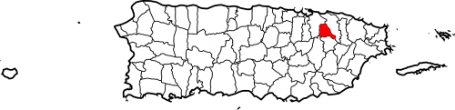 Map_of_Puerto_Rico_highlighting_Trujillo_Alto.svg