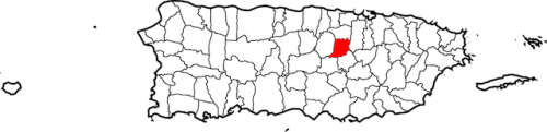 Map_of_Puerto_Rico_highlighting_Naranjito.svg
