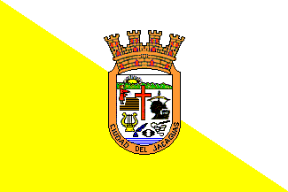 Bandera  Juana Diaz