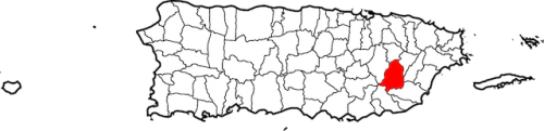 Map_of_Puerto_Rico_highlighting_San_Lorenzo.svg