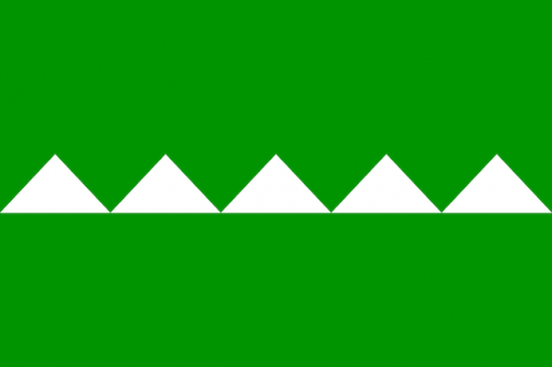 1200px-Flag_of_Salinas,_Puerto_Rico.svg