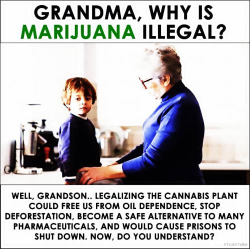 Marijuana Legal
