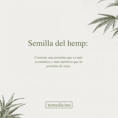 Semilla Del Hemp