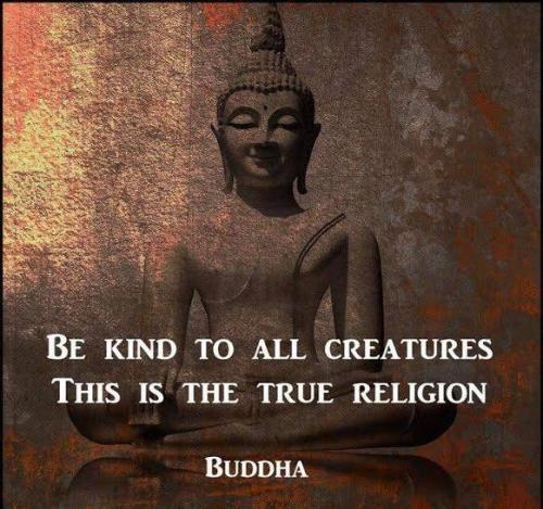 Buddha Religion
