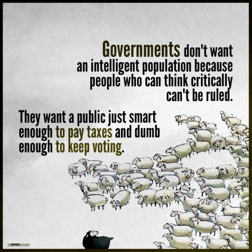 Governments Intelligent Dumb