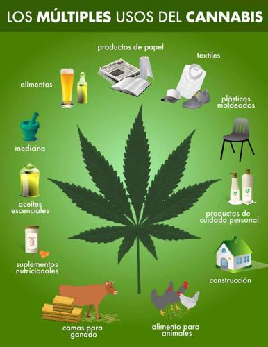 Usos Del Cannabis