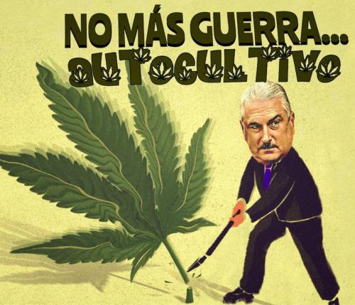 AutoCultivo Cannabis