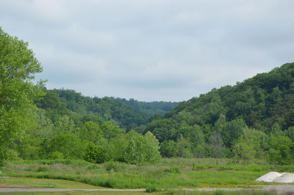 Wooded_hills_west_of_Rayland