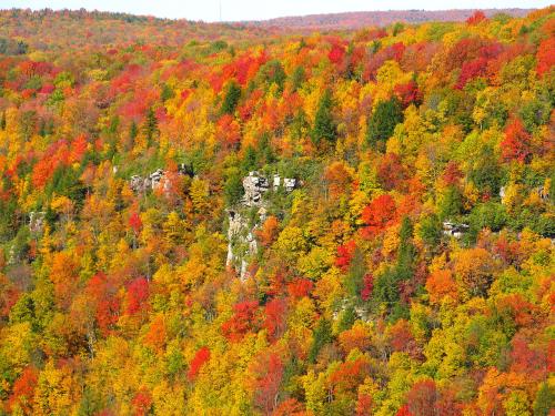 1280px-Blackwater-canyon-fall-colors_-_West_Virginia_-_ForestWander